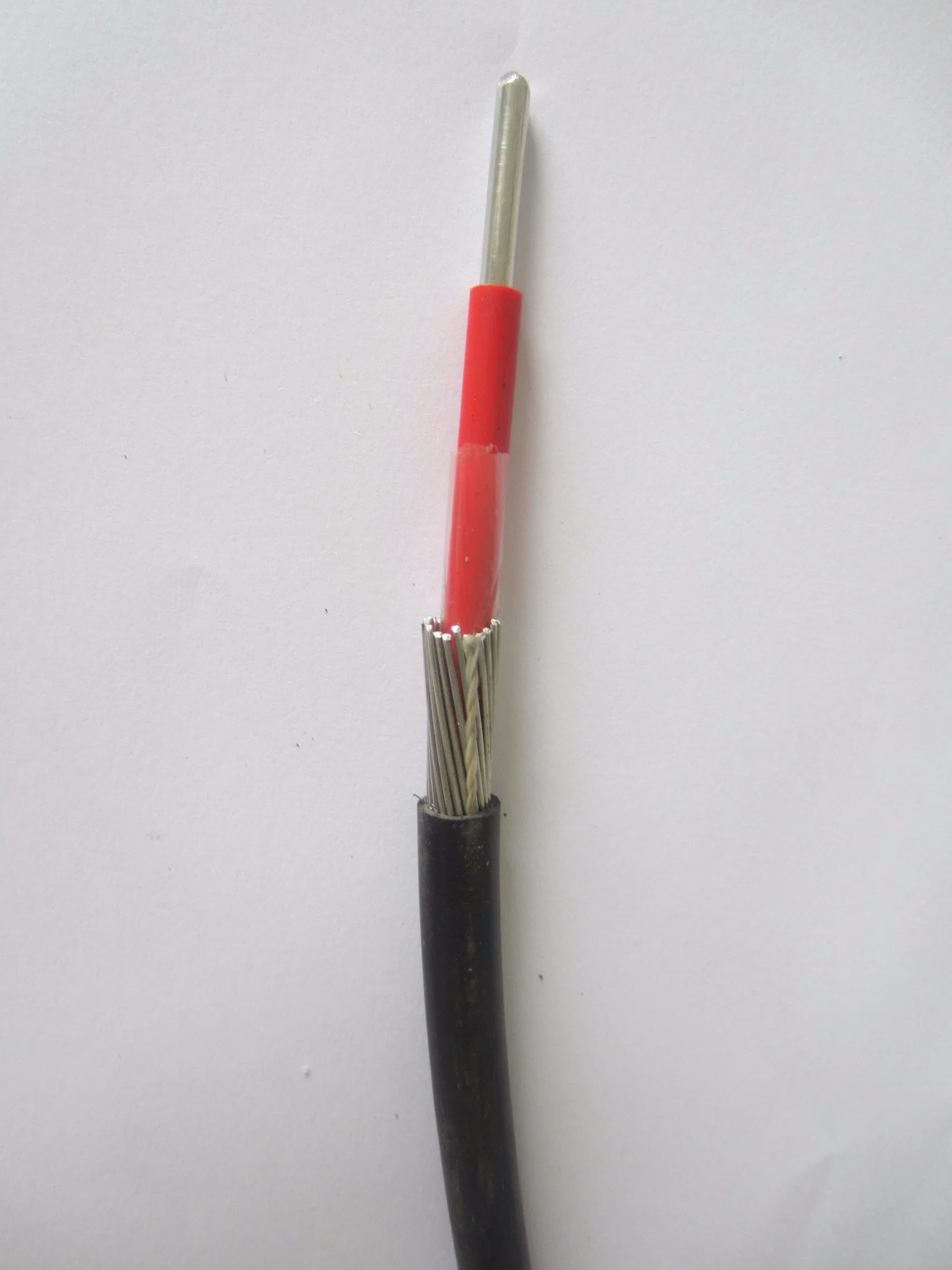 ASTM 2*10mm 2*16mm Concentrico Aluminio Cable 2X16mm2 (XLPE-PVC) 0.6/1 Kv Concentric Aerial Service Cable 10mm2