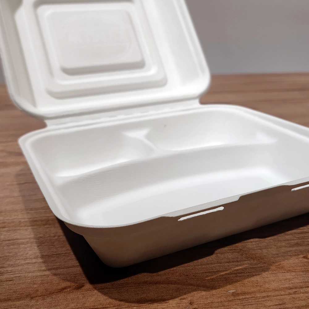 Good Quality Eco Friendly Pack 10 Inch Biodegradable Container Hinged Take Away Food Package Box