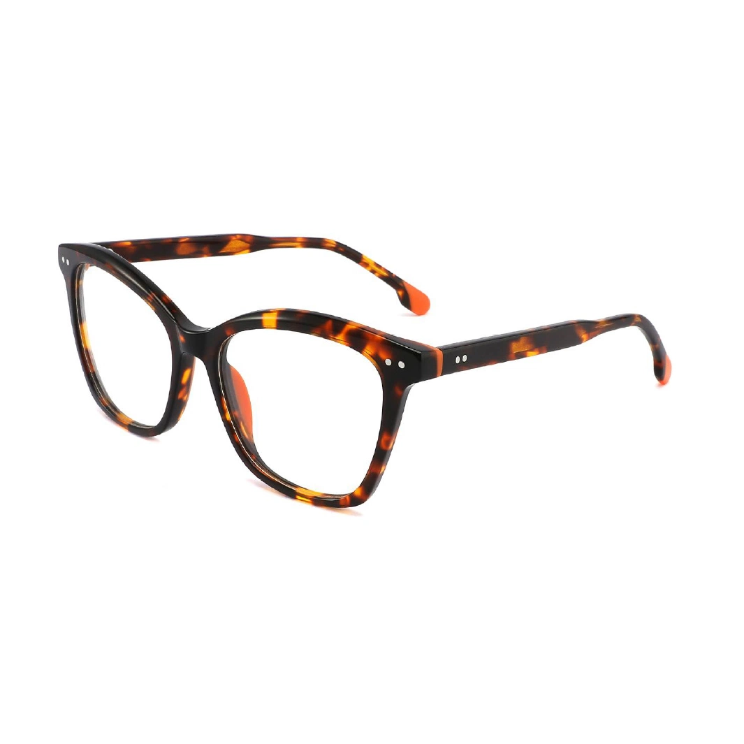 Popular Style Acetate Clear Designed Brand Ray-Ton Vision Optical Frame