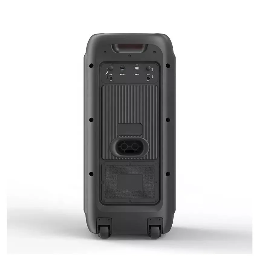 Woofer de 10 polegadas Temeisheng Dual active Portable Party Wireless Altifalante Bluetooth