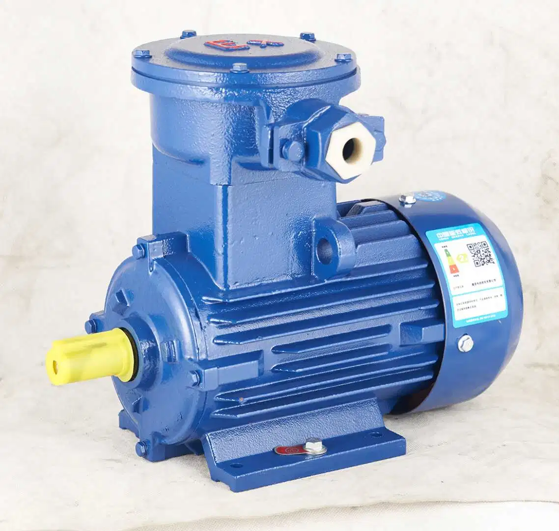 Ybx3-Series High Efficiency Explosion-Proof Three Phase Induction Electric Motor