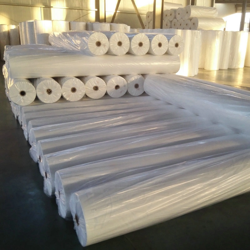 Biodegradable TNT PP Non Woven Fabric Agriculture Anti-Frost Fleece