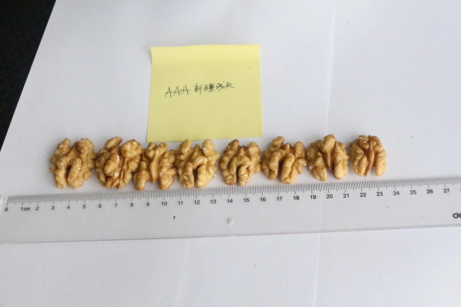 Wholesale/Supplier Natural Organic Top Grade White Walnuts Peeled Bulk Raw Walnut Kernels Nuts & Kernels