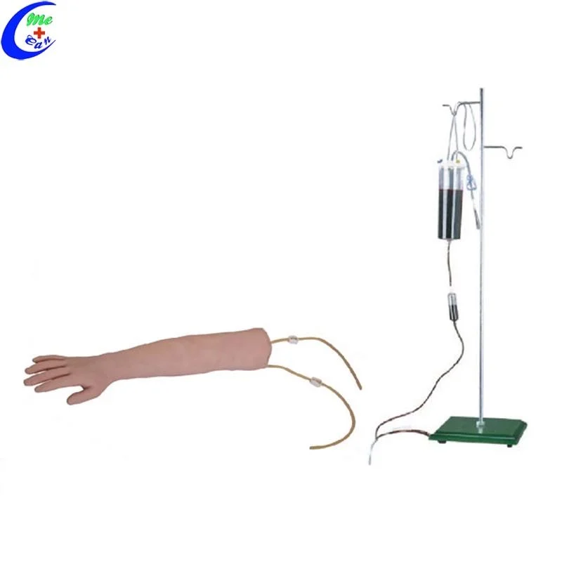 Human Body Venipuncture Training Arm Model for Medical Students