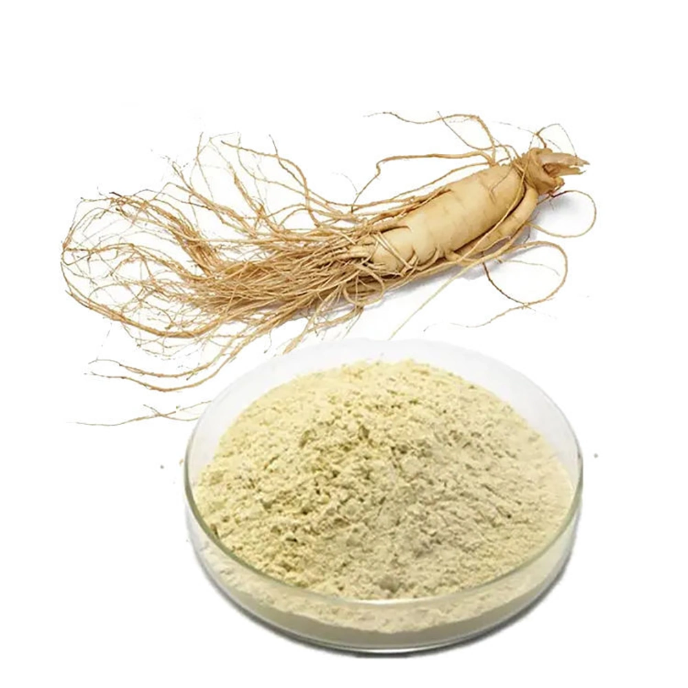 Extracto de hierbas de máxima calidad Ginsenoside 5%/10%/20%/30%/40%/50%/60%/70%/80%/90% y 99,99% de Panax ginseng extracto de plantas de raíz la atención de salud la raíz del Ginseng