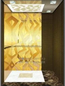 VVVF 1000kg pasajeros baratos Residencial máquina de tracción ascensores