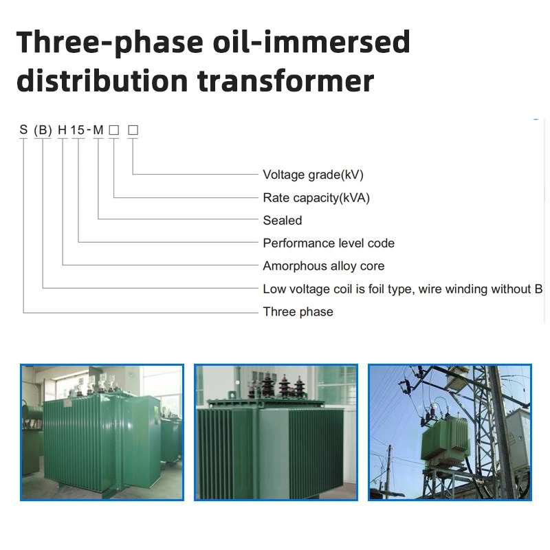 Trois Phase alliage amorphe immergée d'huile de transformateur de distribution