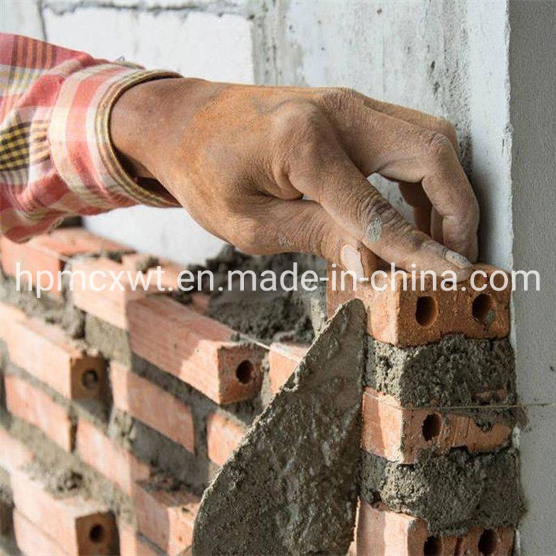 Construction Building Material Chemical Additive to Cement Mortar Rdp