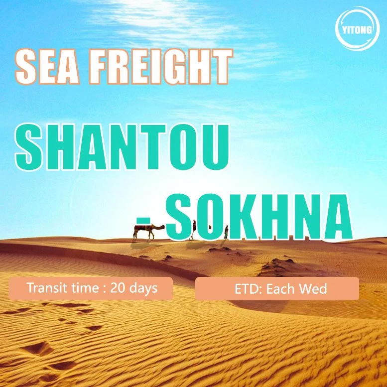 Cargo Ship Price Logistics Sea Freight From Shanghai to Sokhna 1688 Shipping Service Guangzhou Warehouse Shipping