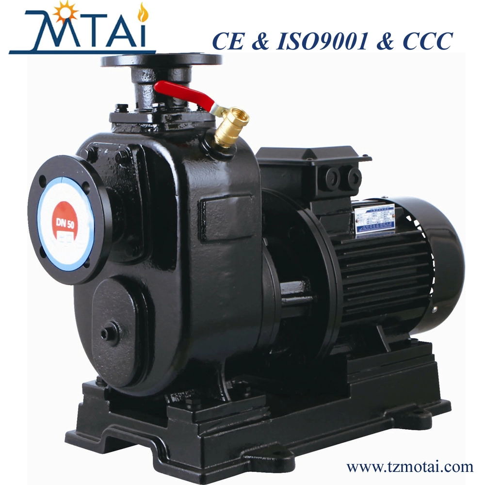 BZ  Salt Water Industries Horizontal Centrifugal Slurry Pump