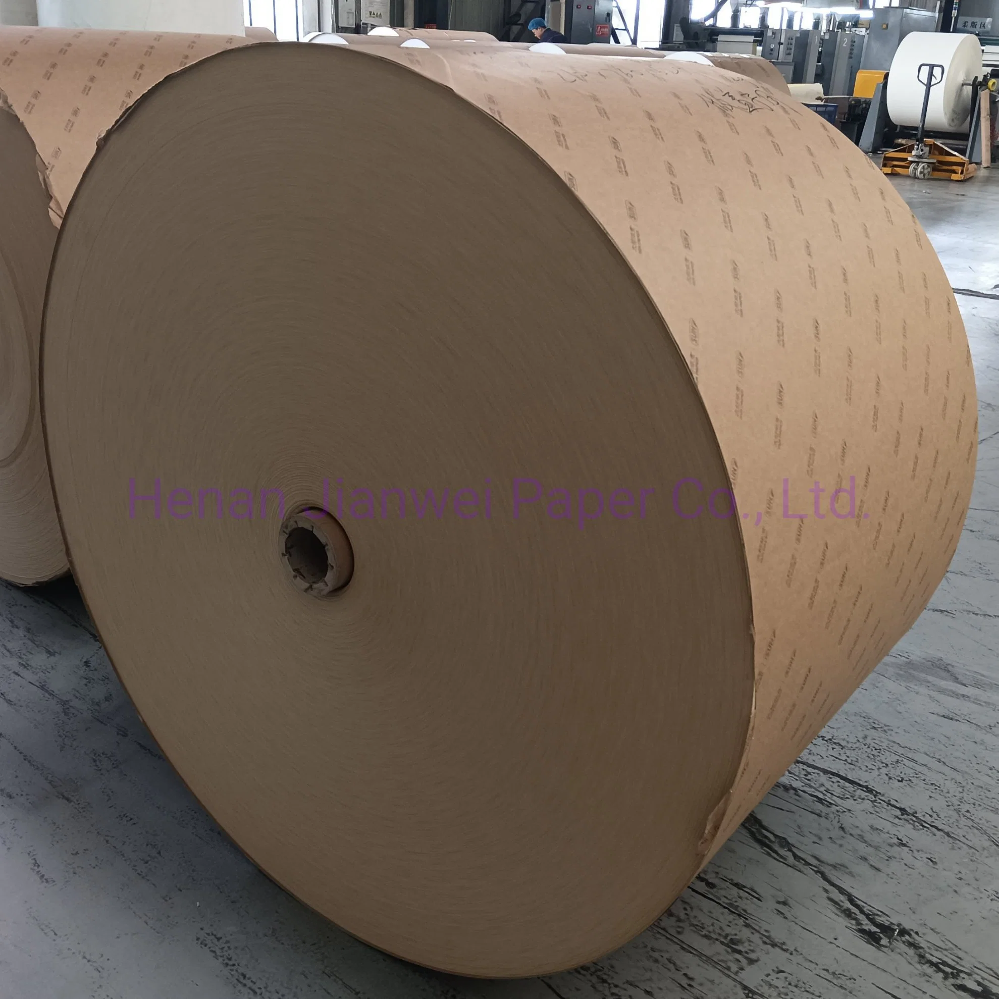 Factory Direct Best Sale Kraft Paper in Roll PE Coated Brown Paper