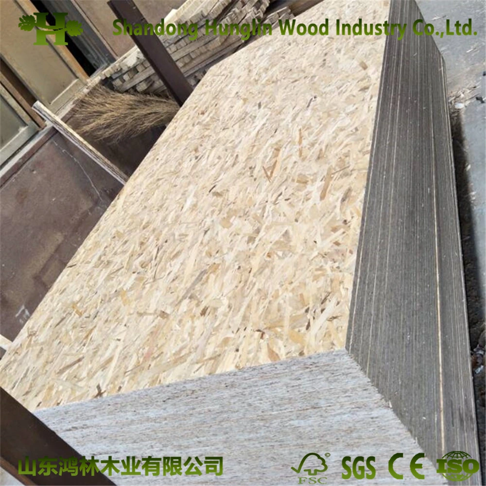 1220*2440*18mm Factory-OSB Pine WBP Glue