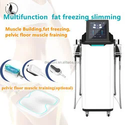High-Intensity Electromagnetic Muscle Body Sculpting Fat Burning Muscle Cryotherapy Machine