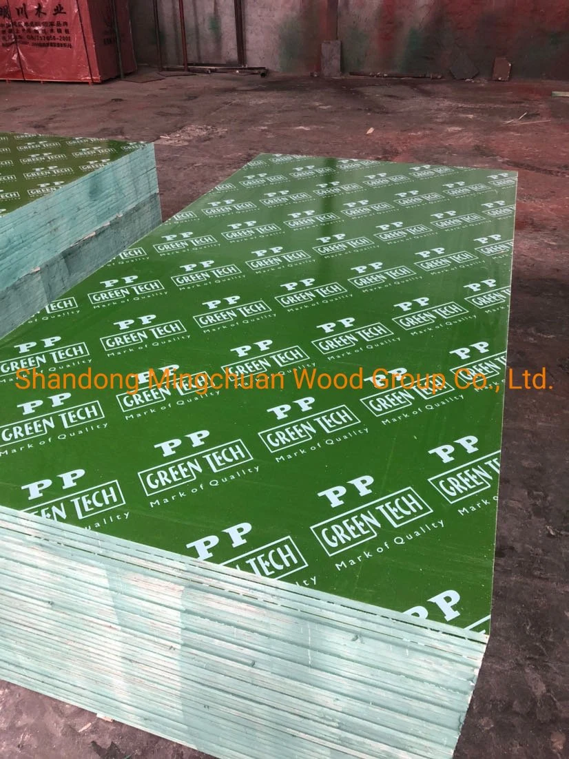 18mm Green PP Plastic Film Faced Plywood Shuttering Plywood PVC Board