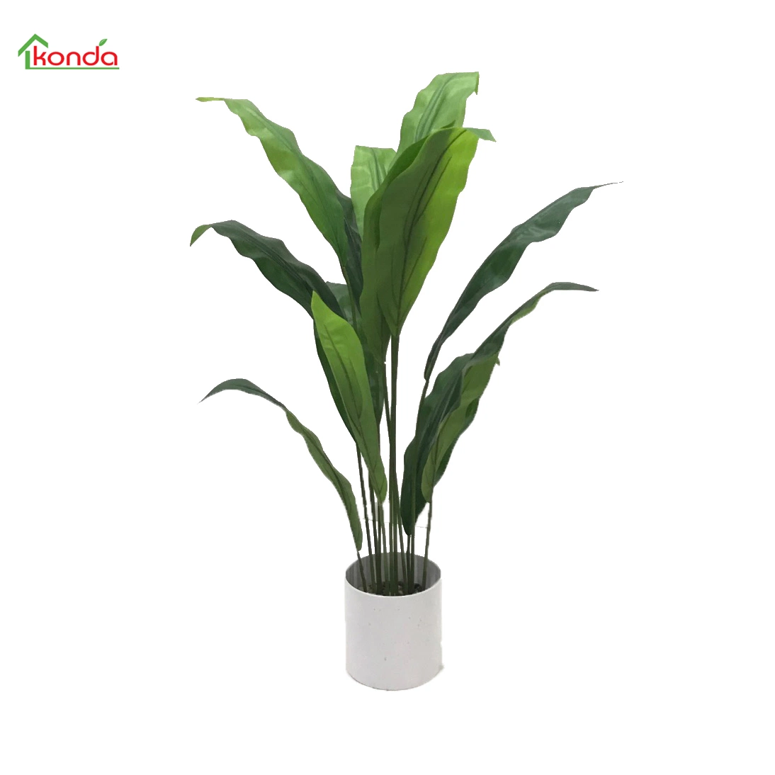 Banana Leaf Tree Skybird Bird of Paradise Plant Tree for Home Bonsai Plants Decor