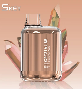 Skey Crystal Bb Disposable/Chargeable Vape 6000 Puffs 2% 5% Nicotine Electric Cigarettes