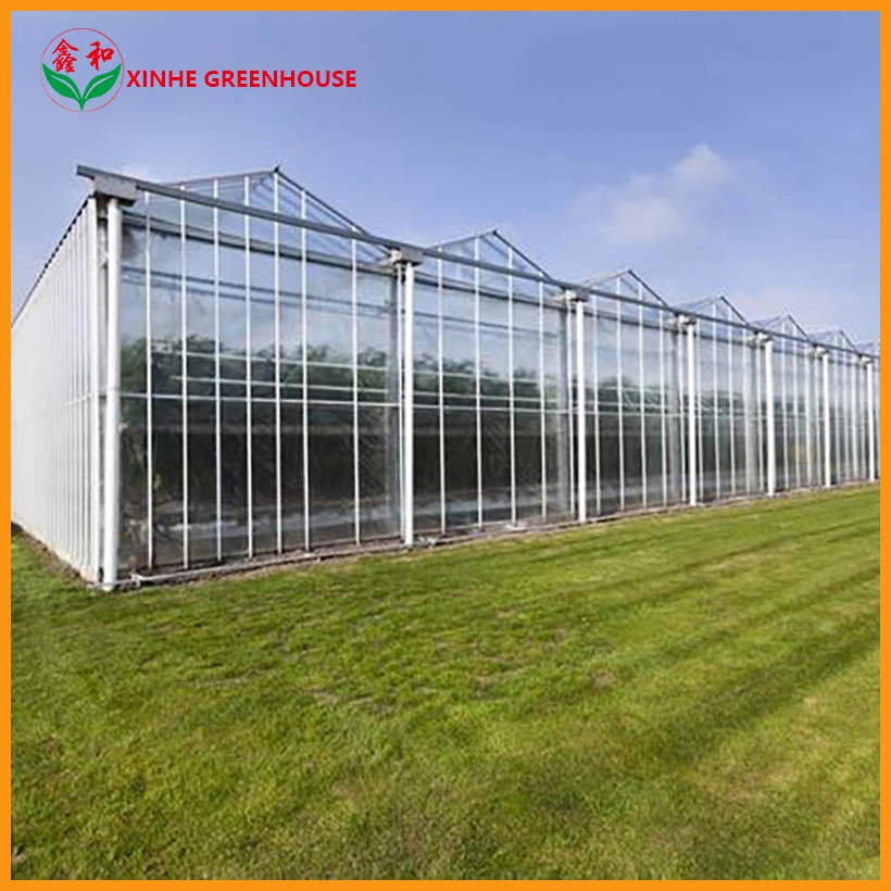 Casa caliente Horticultura Multi Span Agrícola invernadero inteligente con hidropónicos Sistema