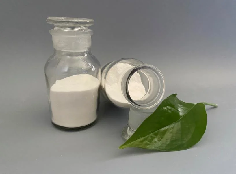 Hydroxypropyl Methylcellulose in Construction Coating Ceramics and Other Industries