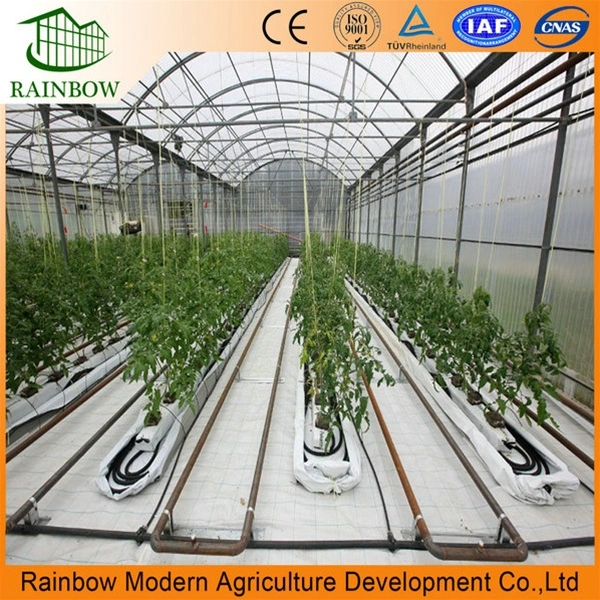 Agriculture Greenhouse Heating System Boiler