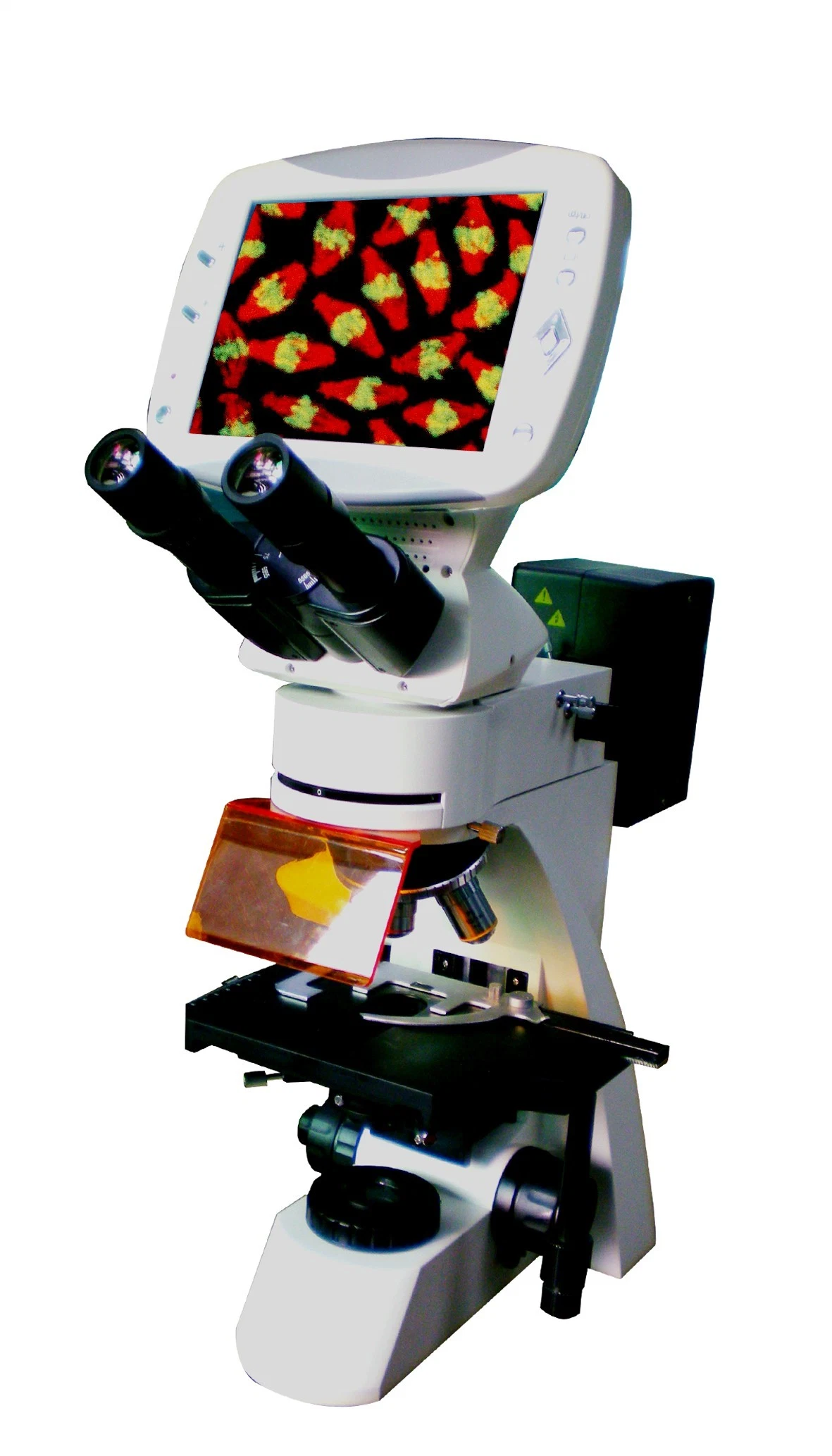 Equipos de laboratorio óptico LCD Electrónica Binocular microscopio biológico