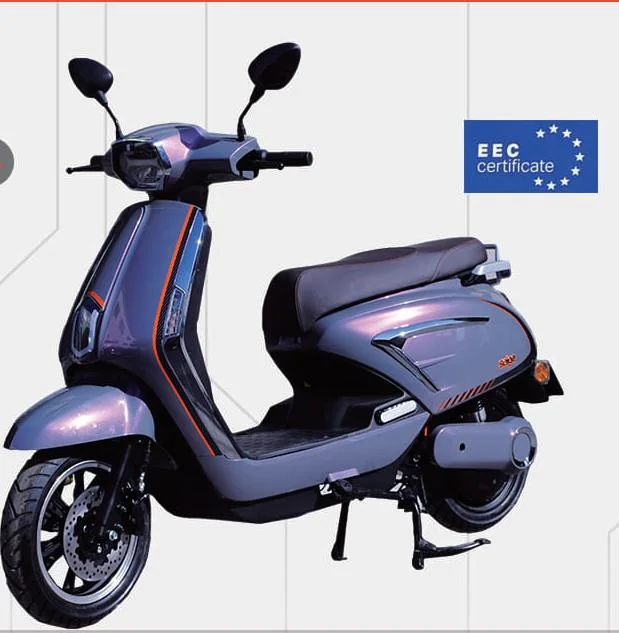 سيارة كهربائية عالية السرعة EEC دراجة كهربائية دراجة هوائية Vespa