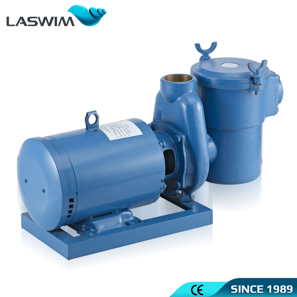 China Manufacturer Factory Price Swimming Pool Pump High quality/High cost performance  Water Pump