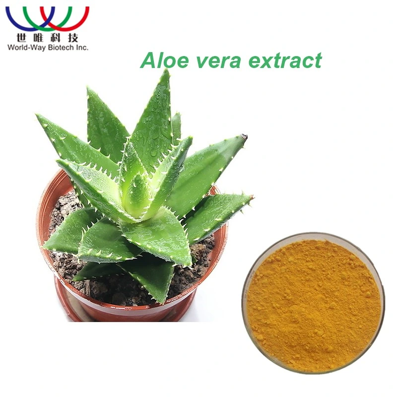 Extrato de Aloe Vera em pó 200:1