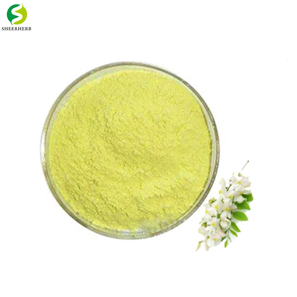 High quality/High cost performance Sophora Japonica Flower Bud Quercetin Extract