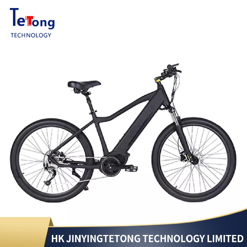 Fastest Long Range 36V 250W Mountain Bike Wholesale/Supplier Electric Bike