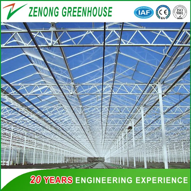 Factory Wholesale/Supplier Polycarbonate Sheet Greenhouse Used as Garden House for Vegetables/Flowers