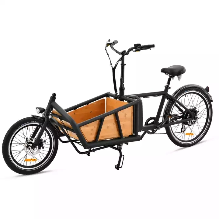 Two Wheel Electric Cargo Bike Used for Adult Family