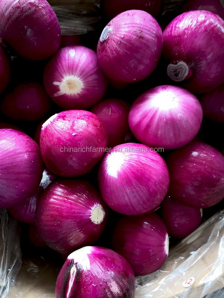 2022 de alta calidad fresco 10kg/20kg bolsa de malla de color rojo cebollas peladas