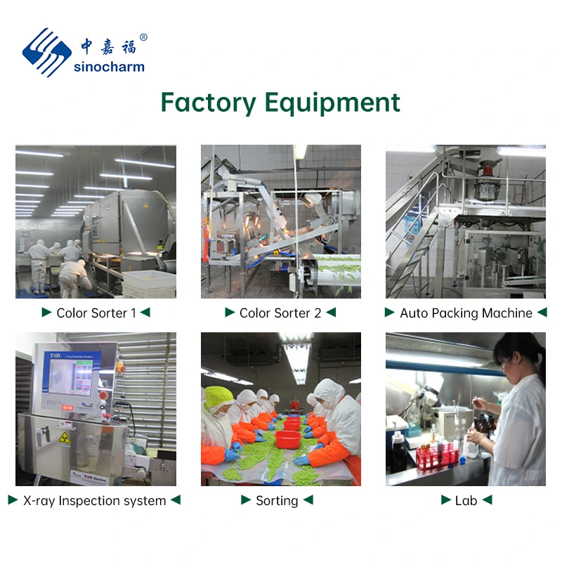SinoCharm BRC одобренный зеленый горох фасоль морковь IQF смешанный Овощи Замороженные Смешанные овощи