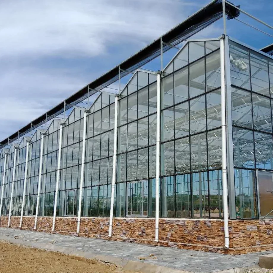 Strawberry Plants Glass Green House with Lighting System