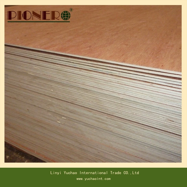 FSC Certificate Cheapest Price 2mm Bintangor Plywood Sheet for Home Furniture