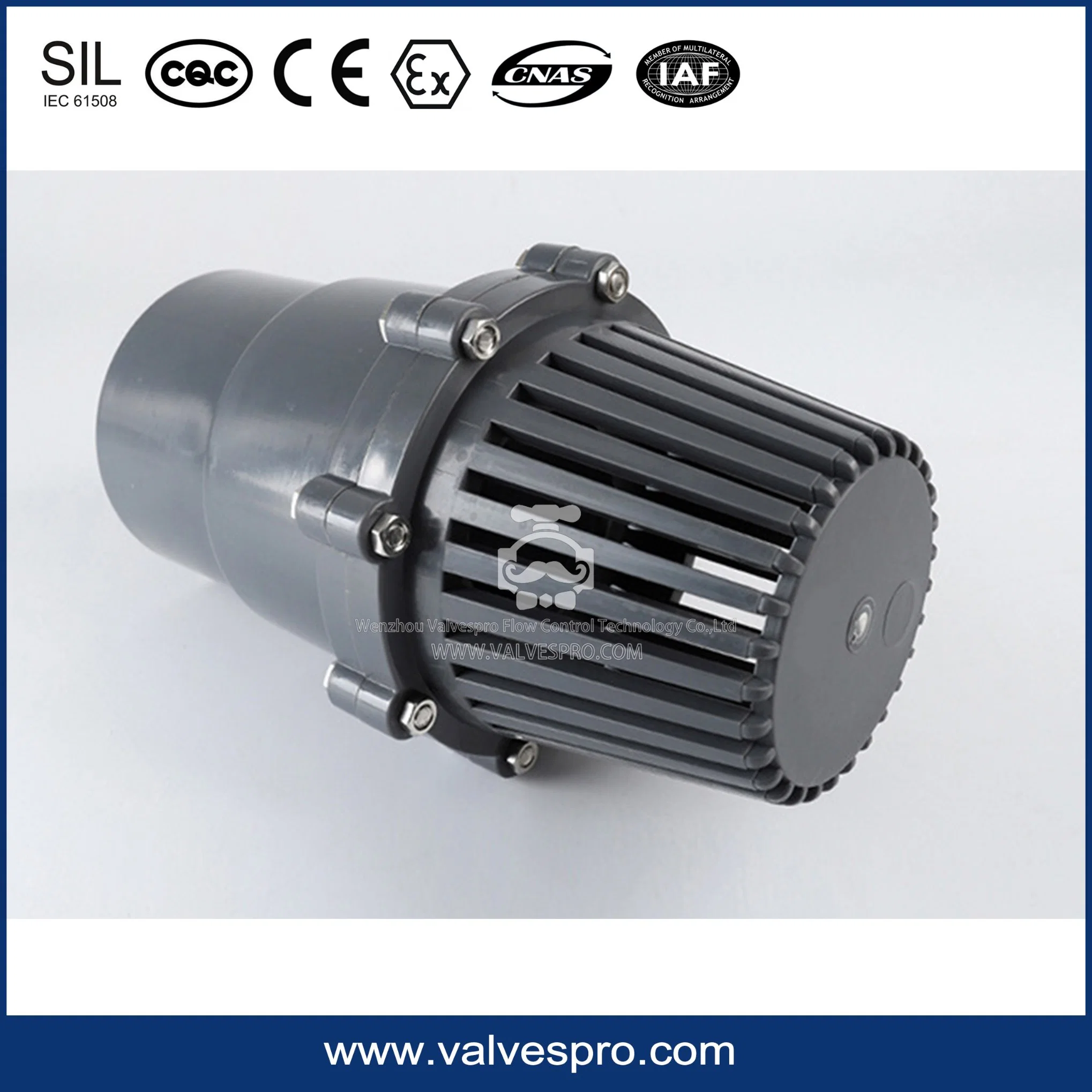 PVC Foot Valve with DIN ANSI BS Standard Made in China Water Pump Foot Valve