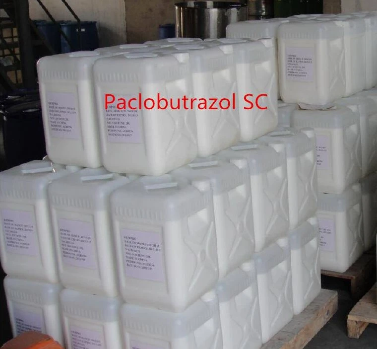 Agricultural Plant Growth Regulator Products 25%Sc Paclobutrazol