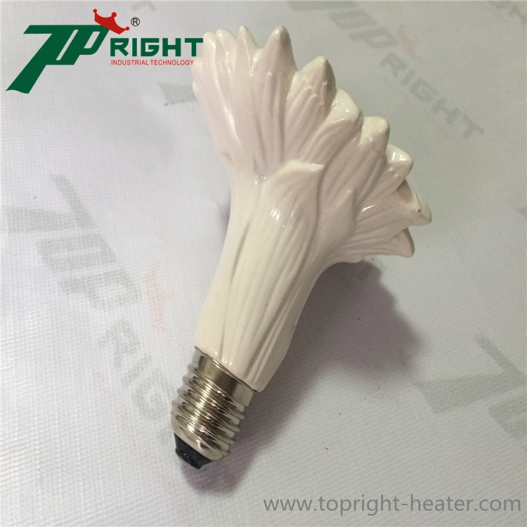 Wholesale/Supplier E27 220V Reptile Heat Lamp Infrared Bulb Ceramic Heat Lamp