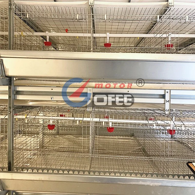 Poultry Equipment Farming Broiler Layer 3 Tiers 4 Tiers Animal Husbandry Equipment Hot DIP Galvanized Feeding Line Cage System