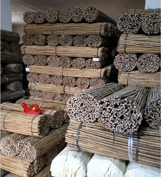 Bamboo Poles for Plant Support Stick