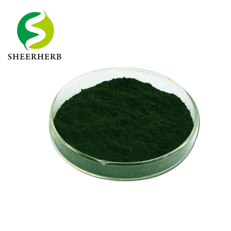 100% Natural Chlorophyllin Morera complejos de cobre de sodio puro Chlorophyllin Cápsulas de cobre Precio