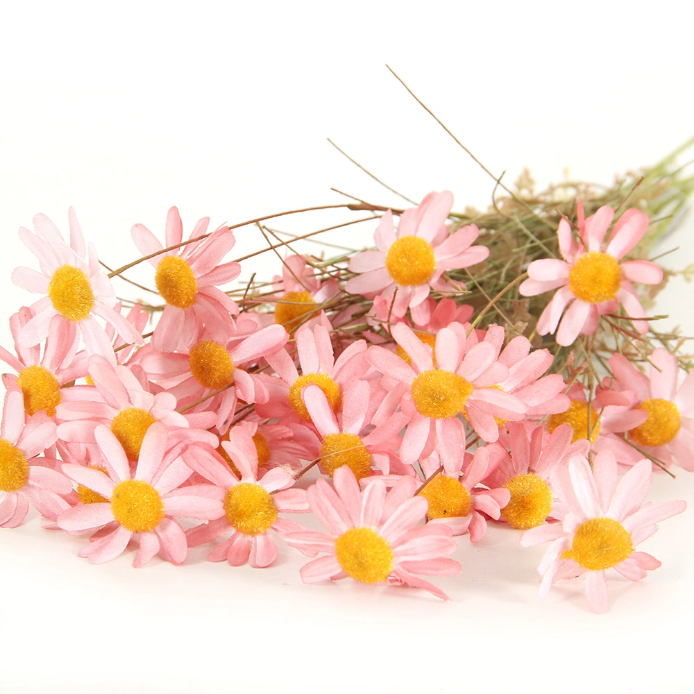 Fashion New Natural Real Preserved Strawflower Fresh Flowers Dried Rock Chrysanthemum Daisy Flowers for Wedding Decor