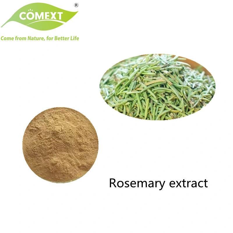 Comext China Manufacturer Wholesale/Supplier Food Grade Natural Plant Herb Extract Carnosic Acid Powder Inventory USA Warehouse Rosemary Extract