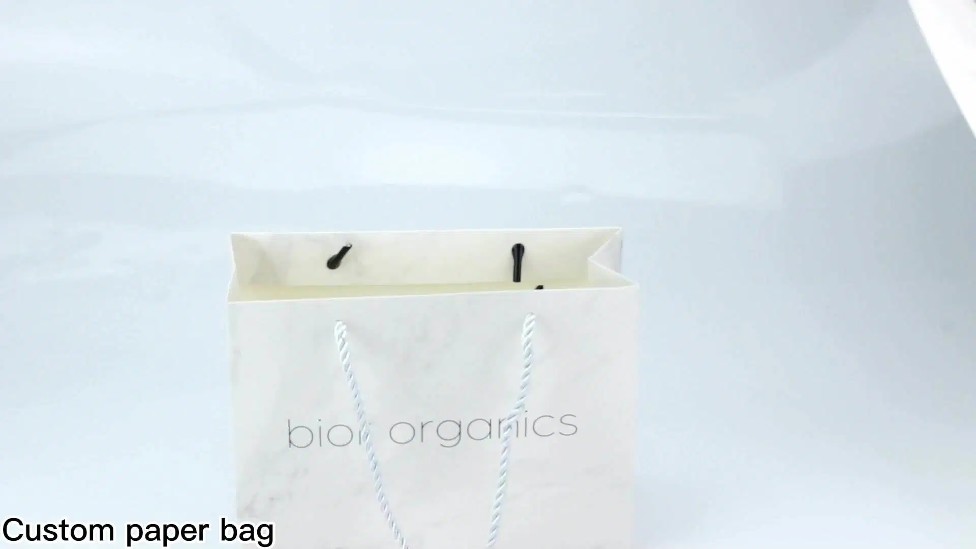 Customized Shopping Paper Hand Bags