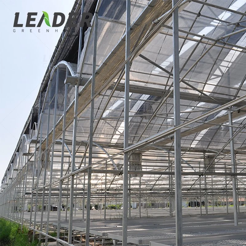 Low Cost Agricultural Smart Commercial Multi Span Glass Greenhouse for Sale