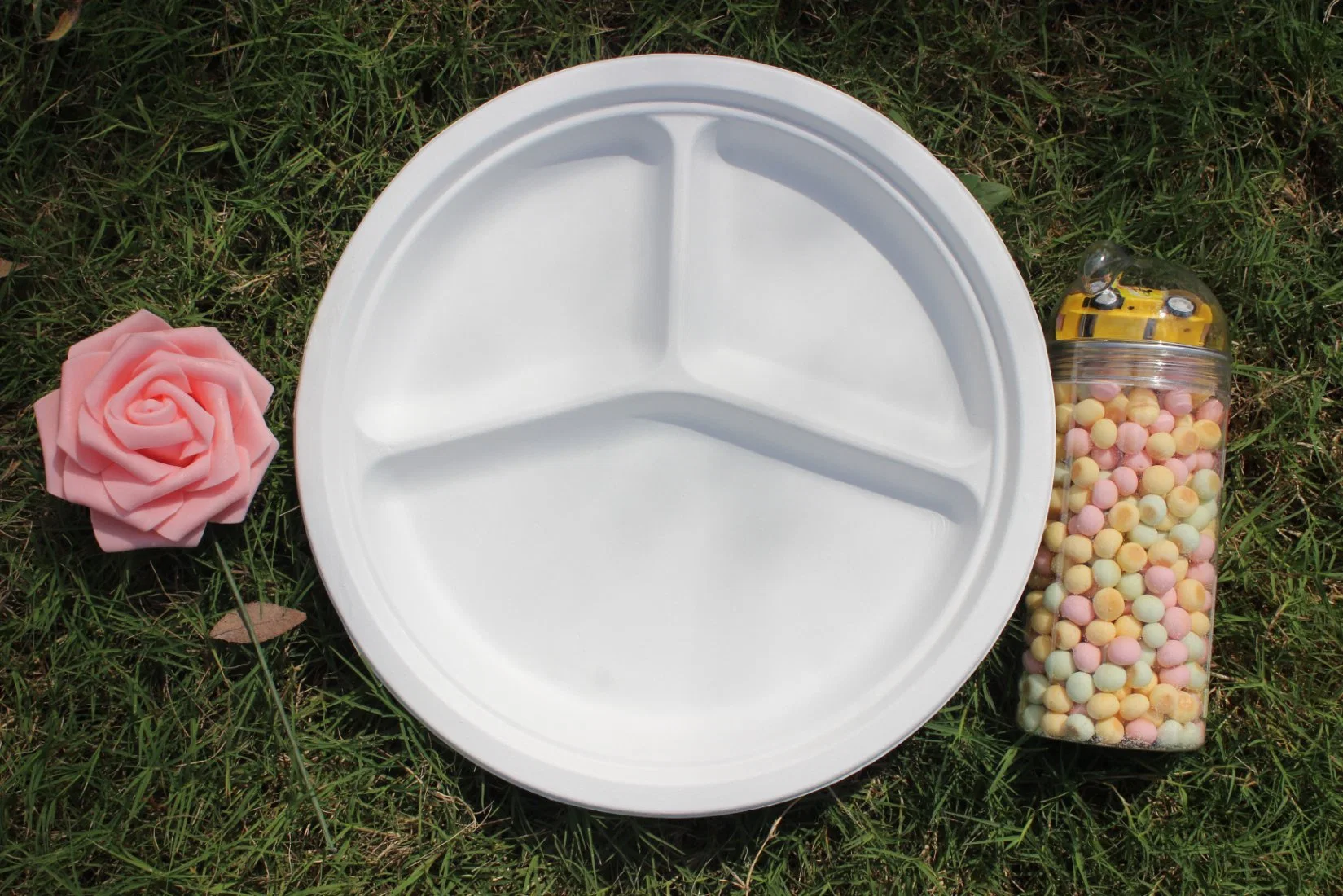 Plaque d'écologique biodégradable écologique papier jetable vaisselle la bagasse de canne à sucre bac carré