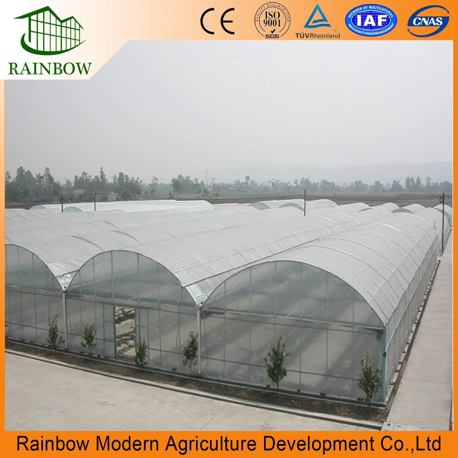 Industrial Multi Span Polytunnel Plastic Greenhouse for Uzbekistan