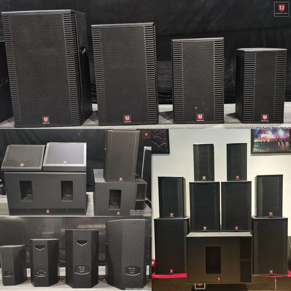 Sistema de altavoces profesional Equipo de sonido PRO de 18 pulgadas Para Concierto