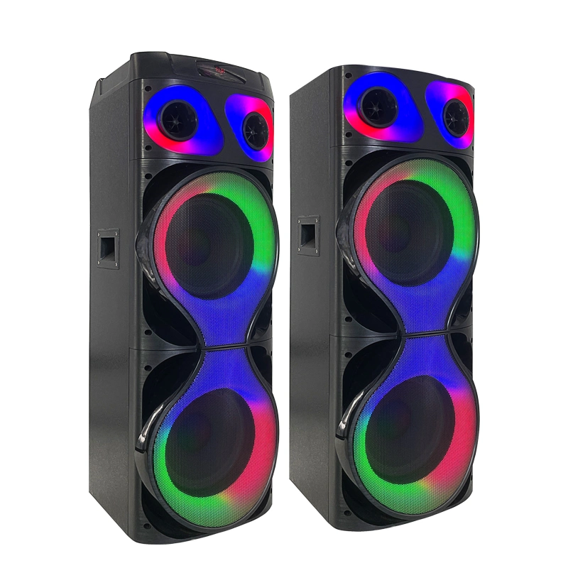 New Design Dual 10 Inch Blue Tooth Karaoke Stage Speaker