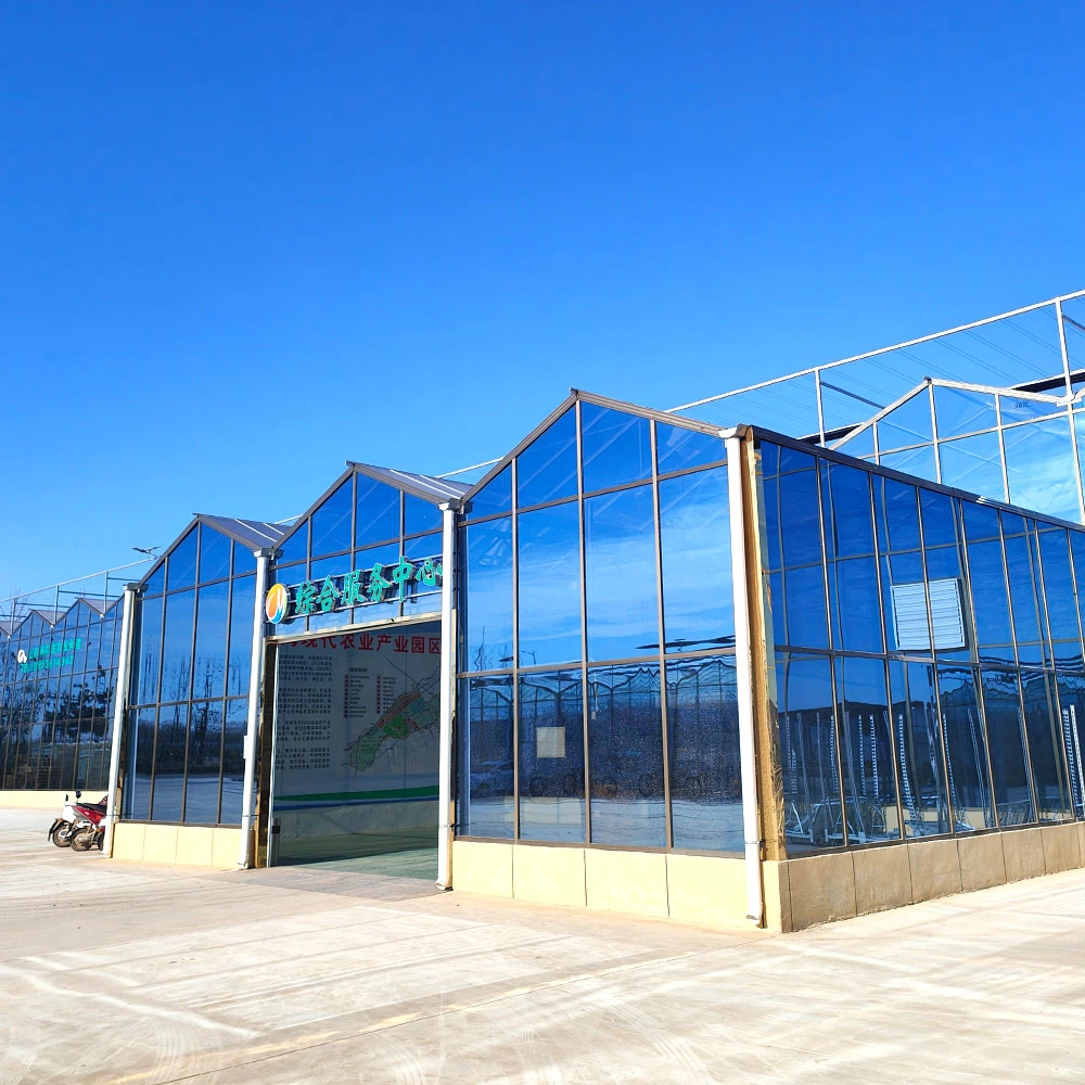 Multi-Span Glass Film Sunboard Greenhouse with Irrigation Hydroponic System for Strawberry/Strawberry/Flowers/Tomato/Pepper Fan Heater